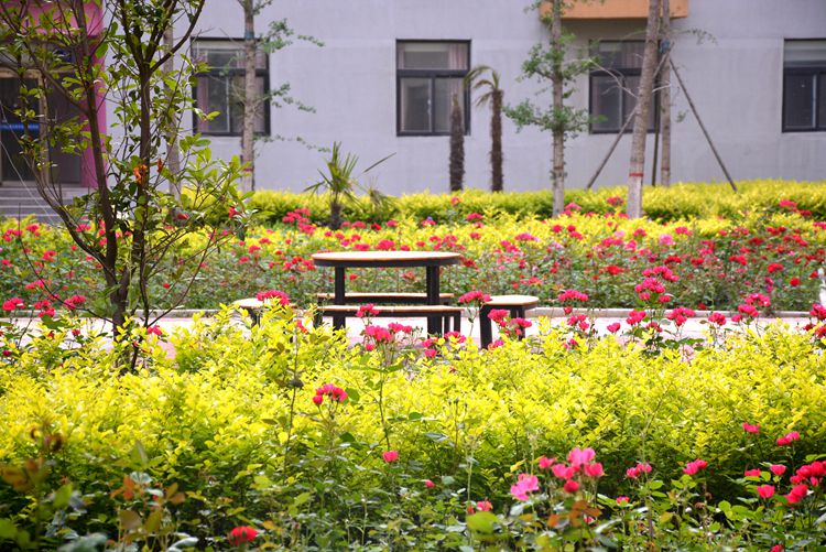 学校小花园