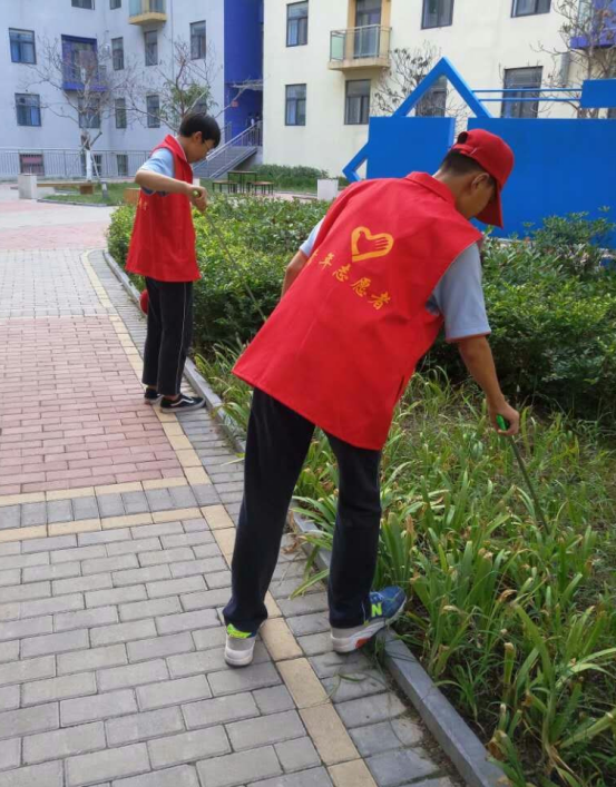 图片5