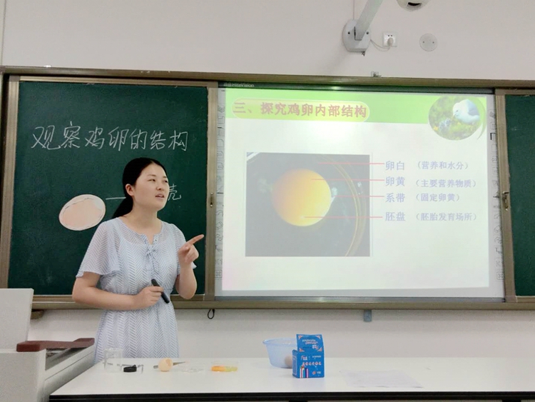 图片11